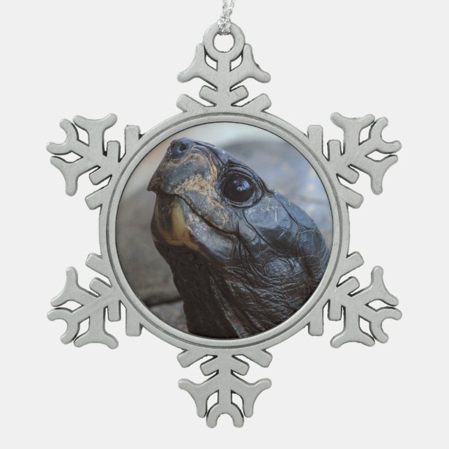 Ornement Flocon De Neige tortue de Gopher (Devant)