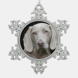 Ornement Flocon De Neige Weimaraner Silver Grey