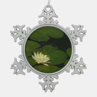 White Waterlily I Peaceful