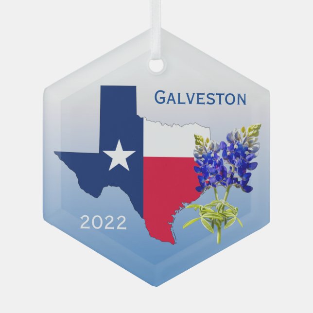 Ornement Galveston Texas, Outline & Bluebonnets (Recto)