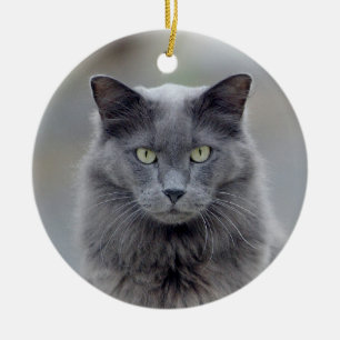 Ornement gris de Noël de chat