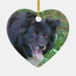 Ornement heureux de chien de border collie de