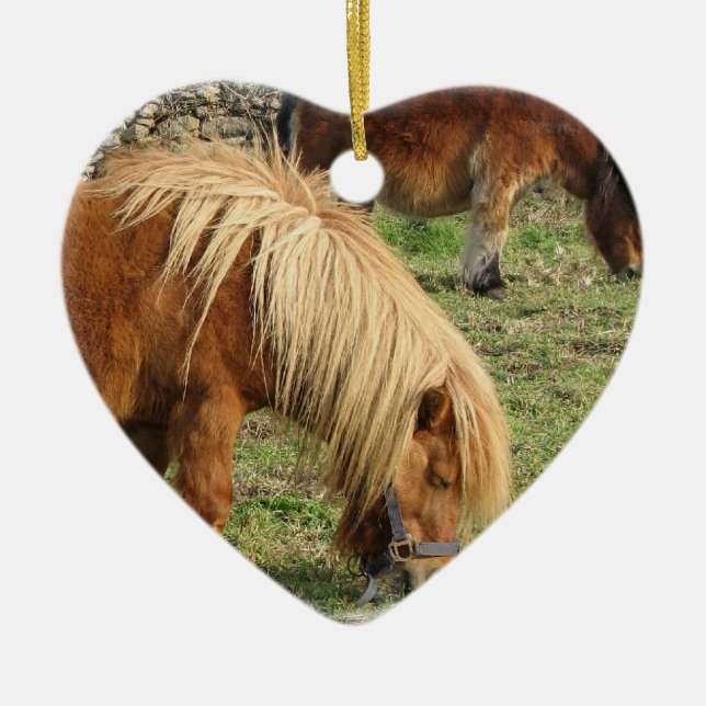 Ornement hirsute de poney de Shetland (Devant)