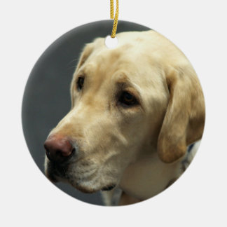 Ornement jaune de Labrador
