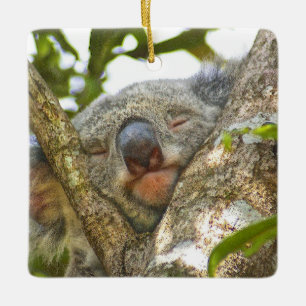 Ornement Koala en céramique