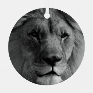 Ornement Lion noir et blanc