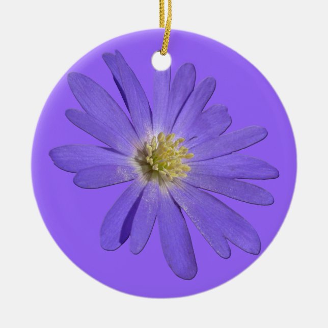 Ornement marguerrier Fleurs violettes Décoration d (Devant)
