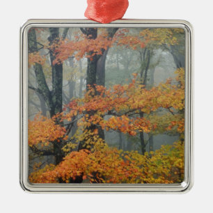 Ornement Métallique Arbre rouge, rubrum d'Acer, portrait brumeux