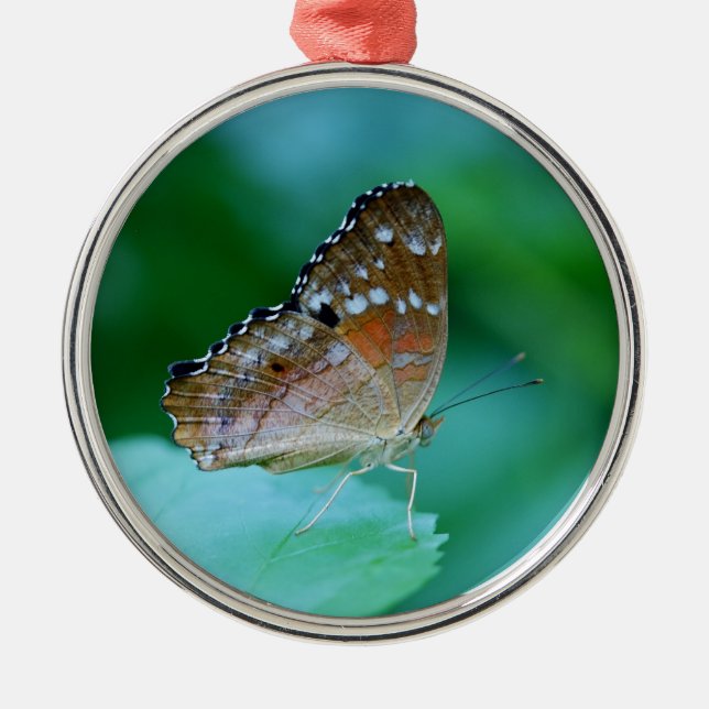 Ornement Métallique Beau Papillon Danaus Plexippus sur la feuille. (Devant)