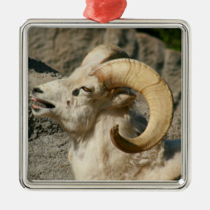 Ornement Métallique Bélier ou Bighorn Sheep Laughing