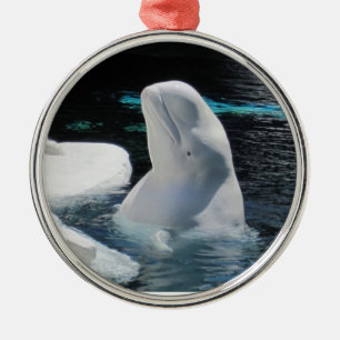 Ornement Métallique Belle baleine blanche Beluga