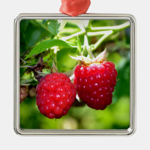 Ornement Métallique Beurre mûre photo Framboises framboises