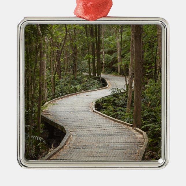 Ornement Métallique Boardwalk to Nelson Falls, Franklin - Gordon (Devant)