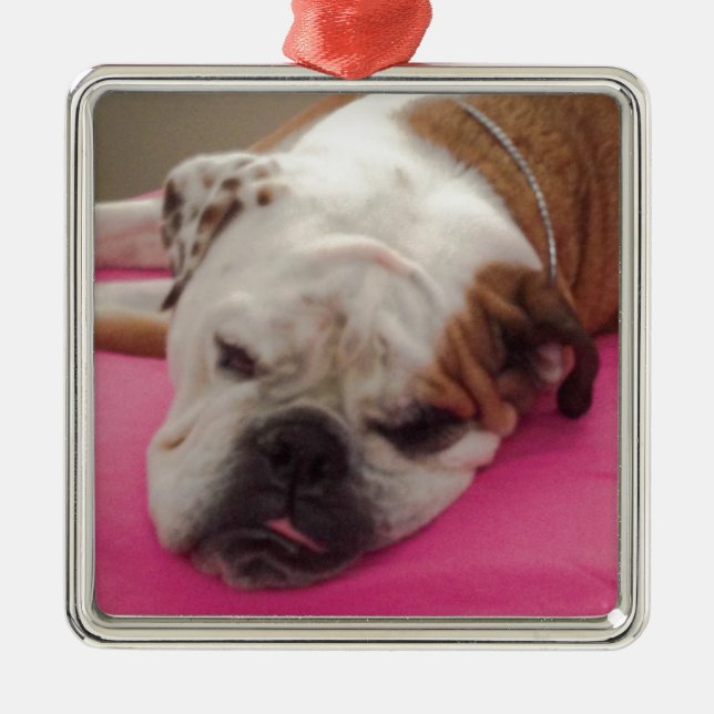 Ornement Métallique Bouledogue anglais (Devant)
