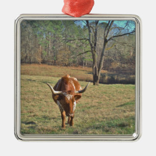 Ornement Métallique Brown et blanc Longhorn Bull Blue Sky