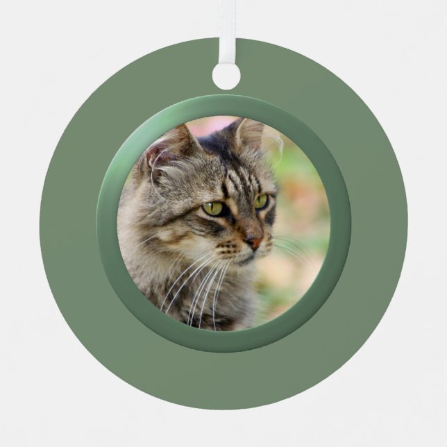 Ornement Métallique Cadre photo personnalisé pour animaux de compagnie (Recto)