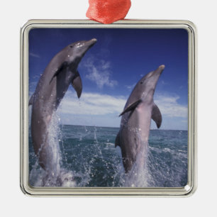 Ornement Métallique Caraïbes, dauphins à gros nez Tursiops