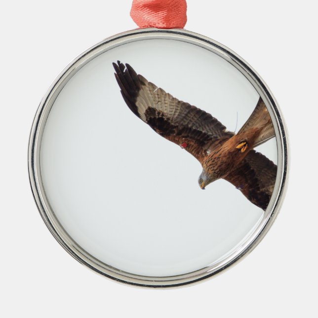 Ornement Métallique Cerf-volant rouge en ciel (Devant)