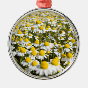 Ornement Métallique Champ chamomile, Hongrie