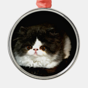 Ornement Métallique Chat chaton blanc noir mignon