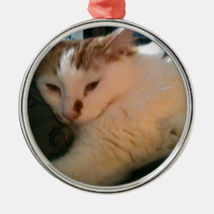 Ornement Métallique Chat paresseux et Relaxed