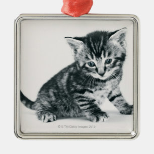 Ornement Métallique Chaton tigré