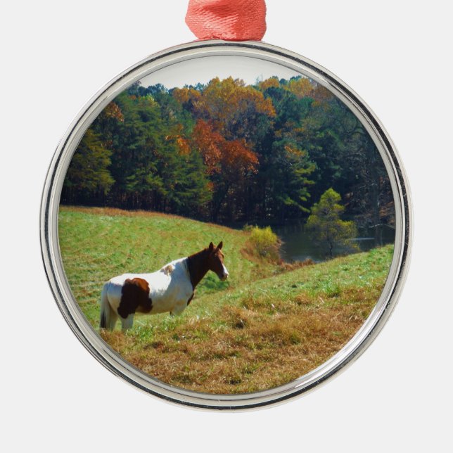 Ornement Métallique Cheval blanc et Brown, étang d'automne (Devant)