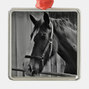Ornement Métallique Cheval blanc noir - Art de la photographie animale