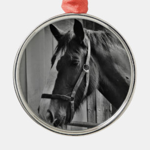 Ornement Métallique Cheval blanc noir - Art de la photographie animale
