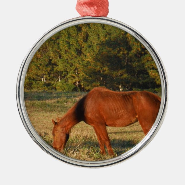 Ornement Métallique Cheval Brown aux pins (Devant)
