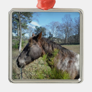 Ornement Métallique Cheval de couleur Coco et Crème
