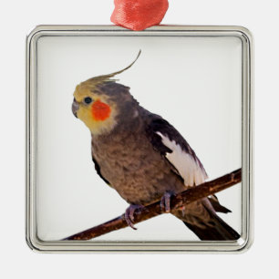 Ornement Métallique Cockatiel Gris et Jaune Oiseau animal de compagnie