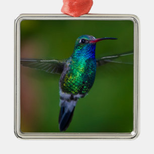 Ornement Métallique Colibri de flottement