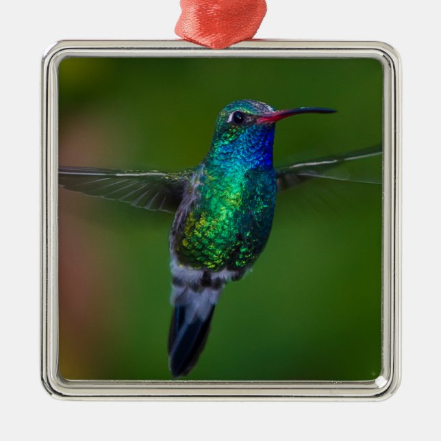 Ornement Métallique Colibri de flottement (Devant)