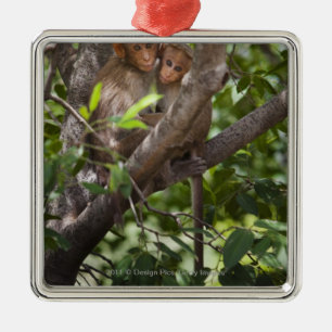 Ornement Métallique Deux singes dans un arbre
