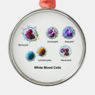 Ornement Métallique Diagramme des leucocytes de globules blancs