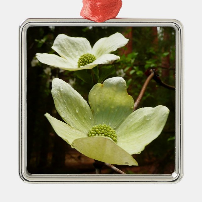 Ornement Métallique Dogwoods et séquoias dans le parc national Yosemit (Devant)