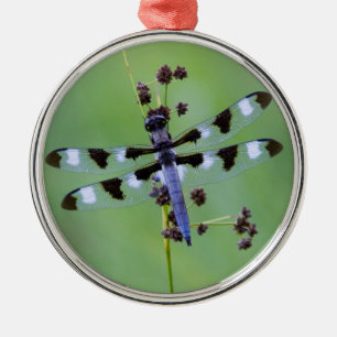 Ornement Métallique Dragon fly perched on grass