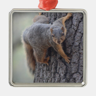 Ornement Métallique Écureuil de accrochage
