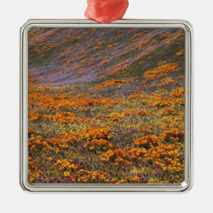 Ornement Métallique États-Unis, Californie, Montagnes de Tehachapi, 2