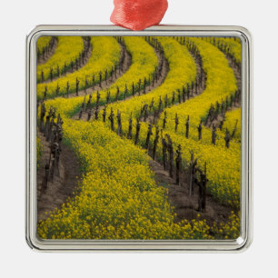 Ornement Métallique États-Unis, Californie, Napa Valley, Los Carneros