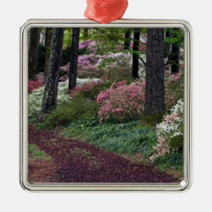 Ornement Métallique États-Unis, Géorgie, Callaway Gardens. Allée