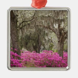 Ornement Métallique Etats-Unis, Géorgie, Savannah, Printemps de l'his