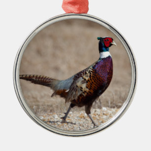Ornement Métallique Faisan de Ringnecked
