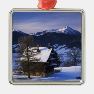 Ornement Métallique Ferme et Mont Rigi et Pilatus,