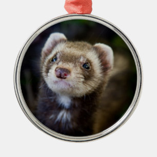 Ornement Métallique Ferret
