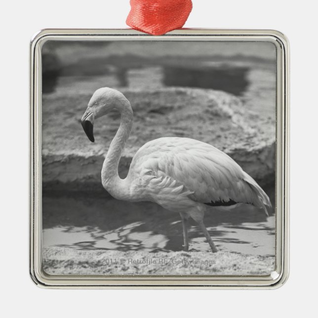 Ornement Métallique Flamant rose pataugeant dans l'eau B&W (Devant)