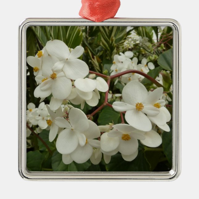 Ornement Métallique Flore de Bégonia blanche tropicale (Devant)