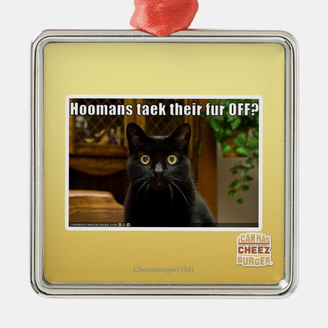 Ornement Métallique Fourrure de Hoomans Taek là ? (Devant)