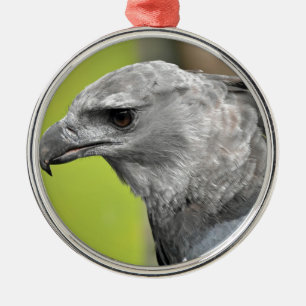 Ornement Métallique Harpy Eagle 2.JPG